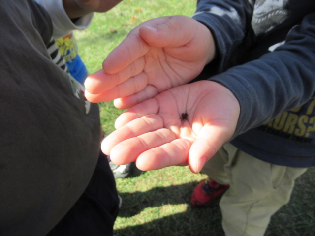 保護中: よーいどん!